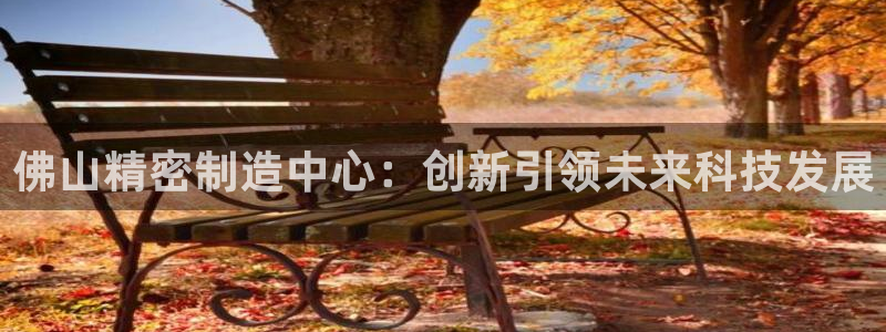 彩神8购彩-购彩大厅：佛山精密制造中心：创新引领未来科技发展