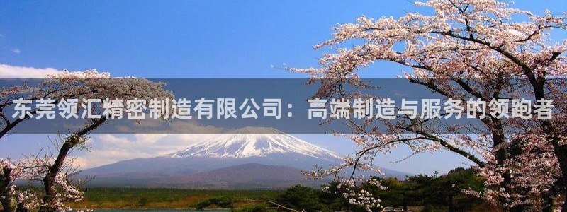 彩神8app官方下载：东莞领汇精密制造有限公司：高端制造与服务的领跑者