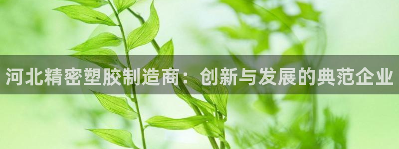 新版彩神v8登录不了：河北精密塑胶制造商：创新与发展的典范企业