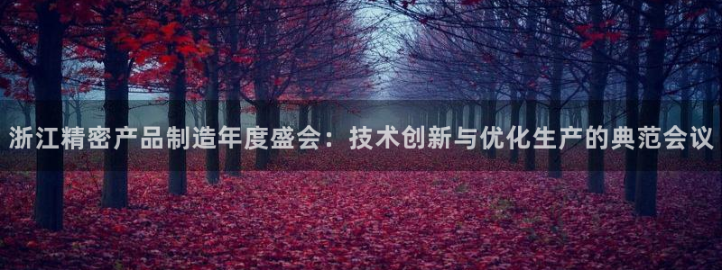 彩神8官网版是正规的吗：浙江精密产品制造年度盛会：技术创新与优化生产的典范会议