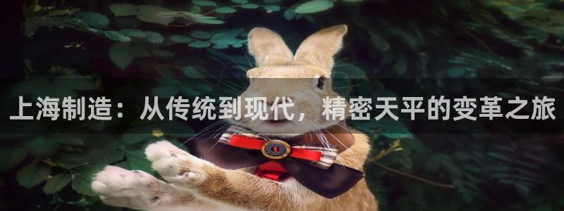 彩神可以提现吗：上海制造：从传统到现代，精密天平的变革之旅