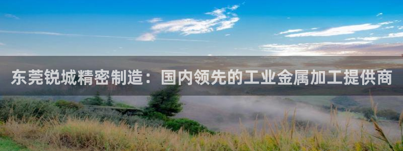 所有彩神购买首页：东莞锐城精密制造：国内领先的工业金属加工提供商