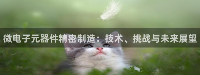 彩神8最新版下载：微电子元器件精密制造：技术、挑战与未来展望