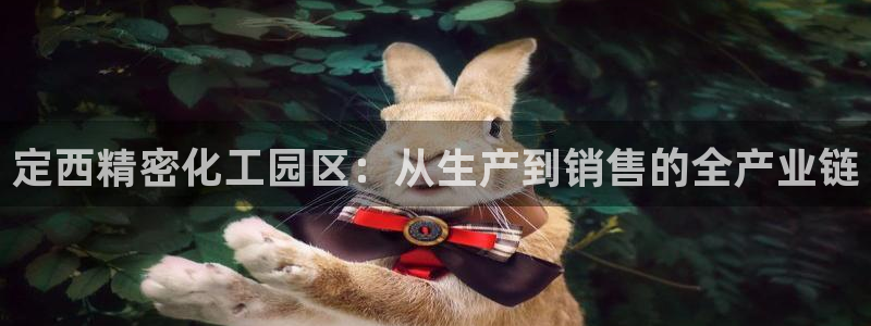 彩神v|：定西精密化工园区：从生产到销售的全产业链