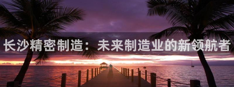 彩神通关注码金码对应码：长沙精密制造：未来制造业的新领航者
