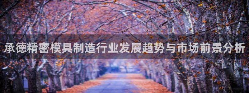 彩神合法吗.是国家认可的吗：承德精密模具制造行业发展趋势与市场前景分析