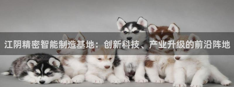 彩神8下载安卓版-彩神8(可提现)官网版1.0.0：江阴精密智能制造基地：创新科技、产业升级的前沿阵地