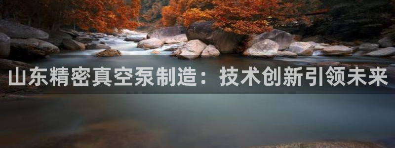 彩神vip官方网站：山东精密真空泵制造：技术创新引领未来
