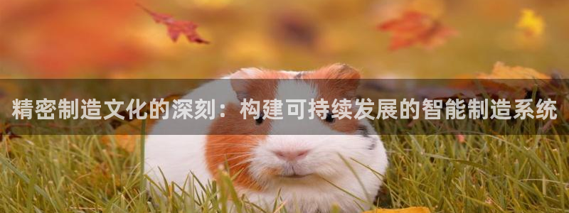 彩神赢了钱登录不上去：精密制造文化的深刻：构建可持续发展的智能制造系统
