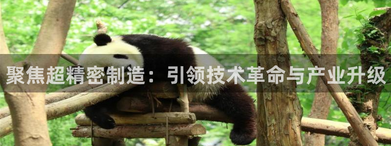 彩神vll首页企业文