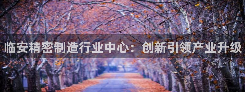 大发彩神争：临安精密制造行业中心：创新引领产业升级