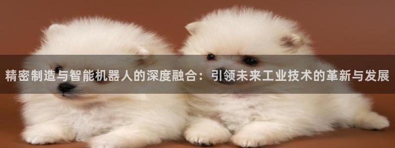 彩神vi争霸官网：精