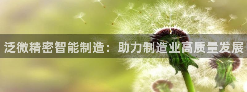 所有彩神购买首页都一样吗：泛微精密智能制造：助力制造业高质量发展