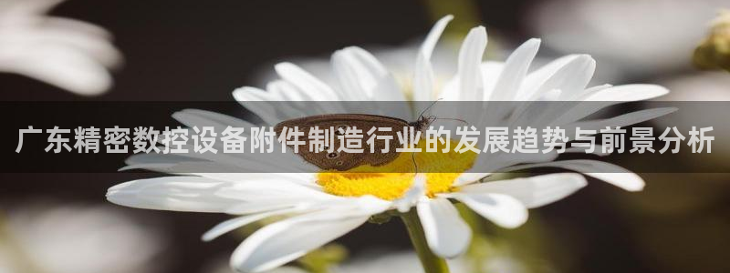 彩神天下专家专栏：广东精密数控设备附件制造行业的发展趋势与前景分析