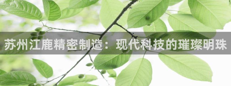 彩神8彩平台：苏州江鹿精密制造：现代科技的璀璨明珠