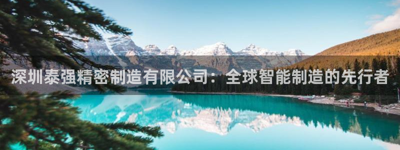 彩神v8是真的挣钱吗：深圳泰强精密制造有限公司：全球智能制造的先行者