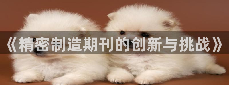 彩神8官网500：《精密制造期刊的创新与挑战》