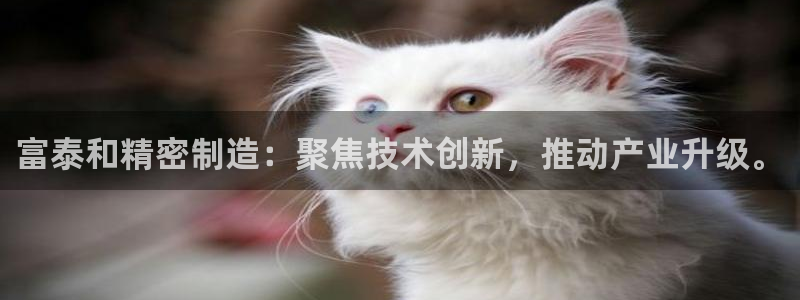 大发彩神官网下载