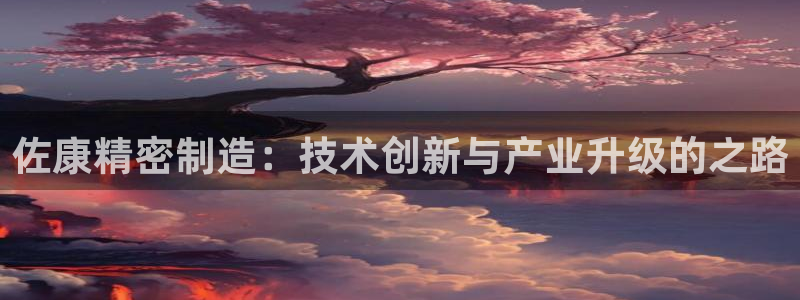 彩神数码科技有限公司