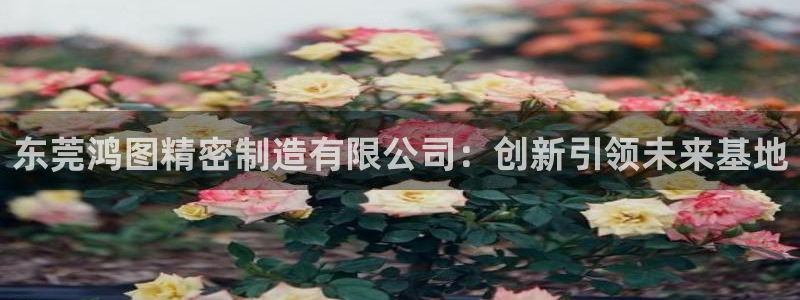 彩神8购彩-购彩大厅