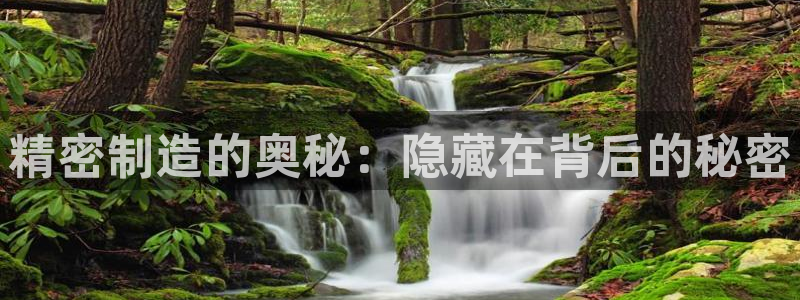 彩神平台
