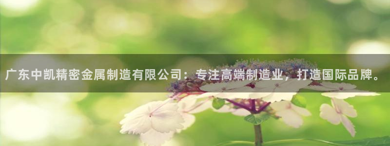 在彩神网输了六万多怎么拿回来：广东中凯精密金属制造有限公司：专注高端制造业，打造国际品牌。