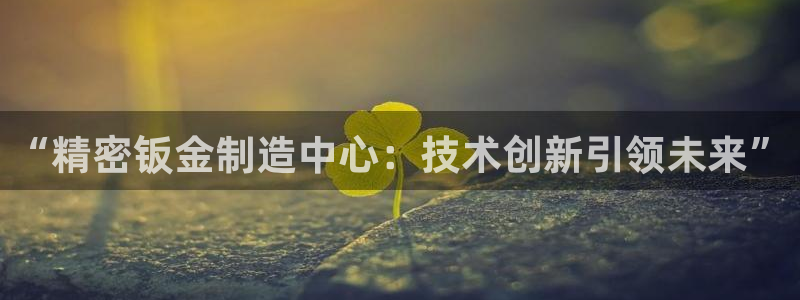 彩神大发cp：“精密钣金制造中心：技术创新引领未来”