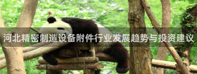 彩神争霸老平台：河北精密制造设备附件行业发展趋势与投资建议