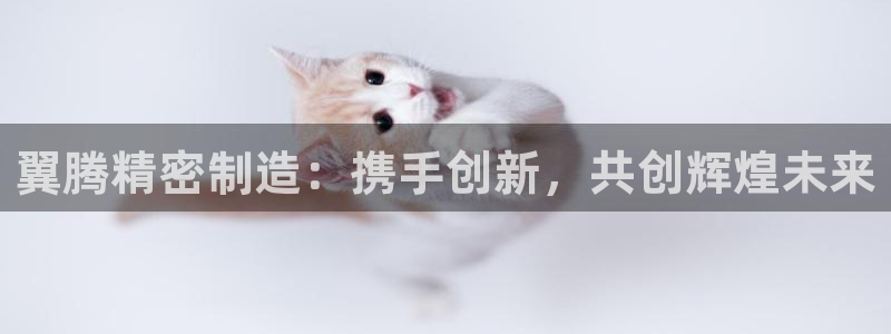彩神iv争霸购彩大厅：翼腾精密制造：携手创新，共创辉煌未来