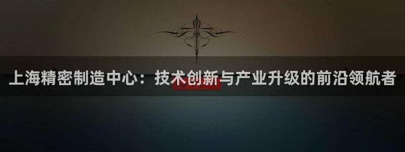 彩神v8下载：上海精密制造中心：技术创新与产业升级的前沿领航者