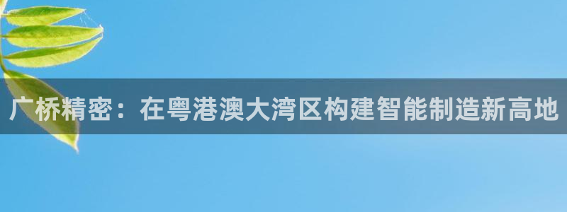 彩神v8是真的挣钱吗：广桥精密：在粤港澳大湾区构建智能制造新高地
