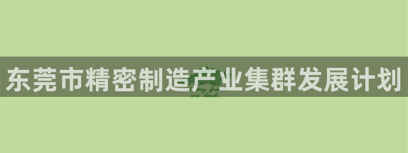 彩神是正规平台吗安全吗：东莞市精密制造产业集群发展计划