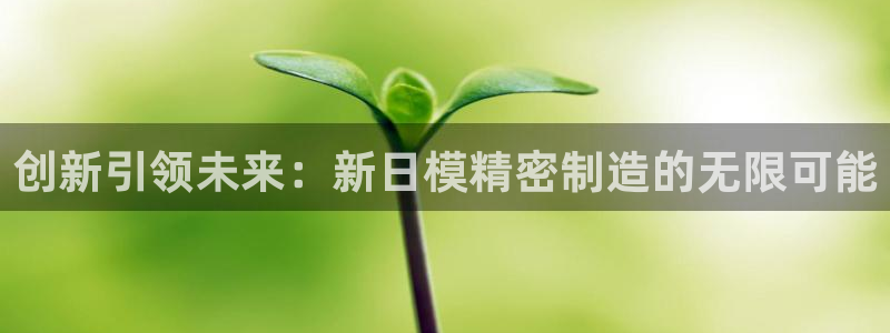 彩神vll官网-最新版app下载：创新引领未来：新日模精密制造的无限可能