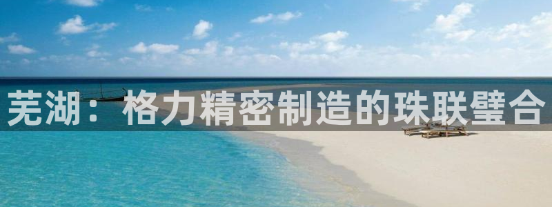 彩神争霸官方登录：芜湖：格力精密制造的珠联璧合