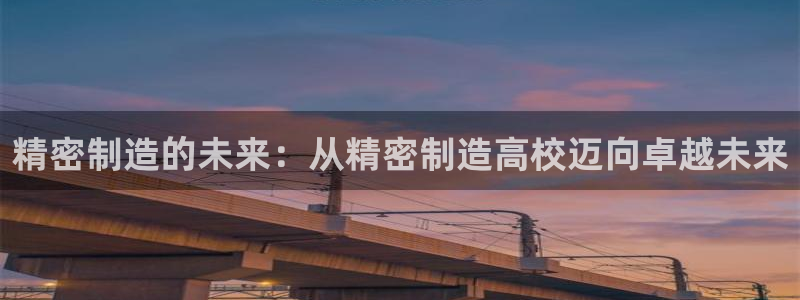 彩神网能赚钱是怎么回事：精密制造的未来：从精密制造高校迈向卓越未来