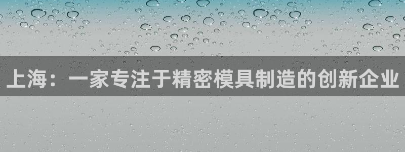 彩神vll官网-最新版app下载：上海：一家专注于精密模具制造的创新企业