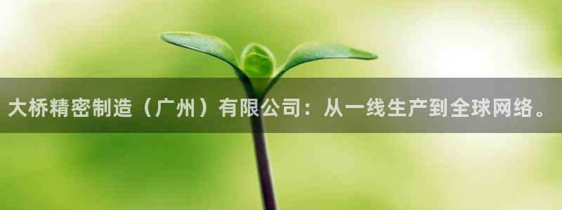 彩神v8下载app：大桥精密制造（广州）有限公司：从一线生产到全球网络。