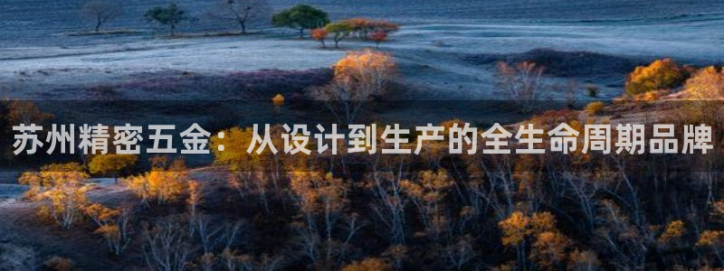彩神8是正规平台吗安全吗：苏州精密五金：从设计到生产的全生命周期品牌
