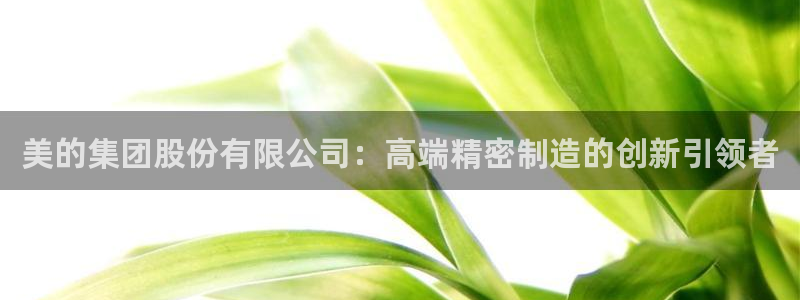 彩神8最新版下载：美的集团股份有限公司：高端精密制造的创新引领者