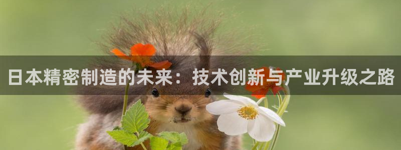 彩神vip购彩：日本精密制造的未来：技术创新与产业升级之路
