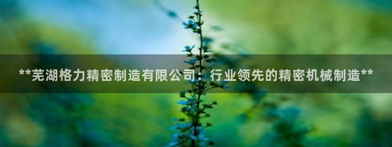 彩神新微聊：**芜湖格力精密制造有限公司：行业领先的精密机械制造**