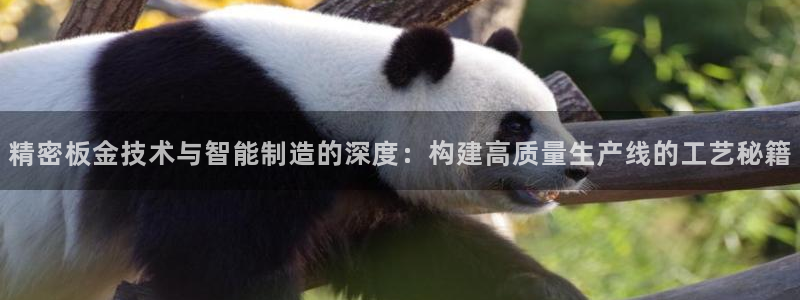 彩神v下载安装：精密板金技术与智能制造的深度：构建高质量生产线的工艺秘籍