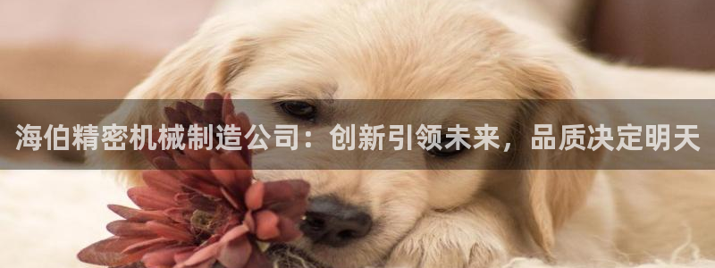 彩神ⅴll用户登录：海伯精密机械制造公司：创新引领未来，品质决定明天