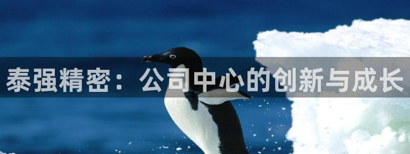 彩神平台可以破解吗：泰强精密：公司中心的创新与成长