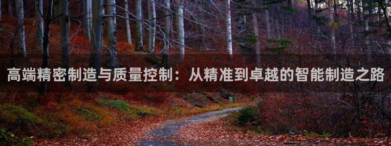 新版彩神v8登录教程：高端精密制造与质量控制：从精准到卓越的智能制造之路