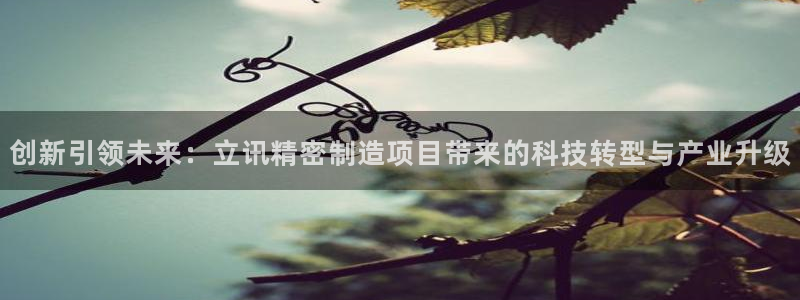 彩神ios下载：创新引领未来：立讯精密制造项目带来的科技转型与产业升级