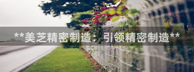 彩神天下专家专栏：**美芝精密制造：引领精密制造**