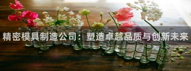 彩神是真的吗：精密模具制造公司：塑造卓越品质与创新未来