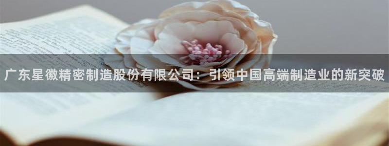 彩神数码科技有限公司：广东星徽精密制造股份有限公司：引领中国高端制造业的新突破