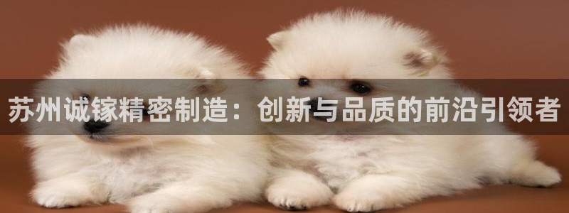 彩神vii官网：苏州诚镓精密制造：创新与品质的前沿引领者